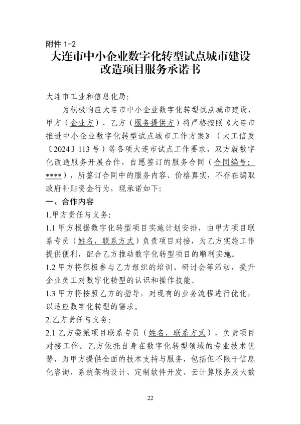 大连信息科技服务